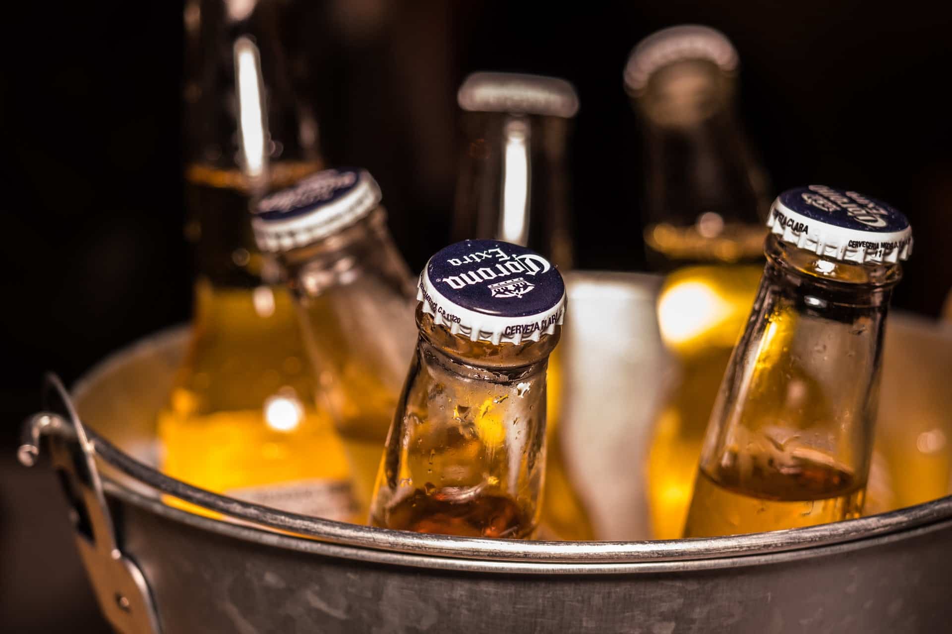 Bucket of Corona beers on ice.